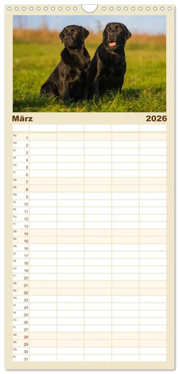 Bild: 9783516522518 | Familienplaner 2026 - Labrador Retriever - Freunde für´s Leben mit...
