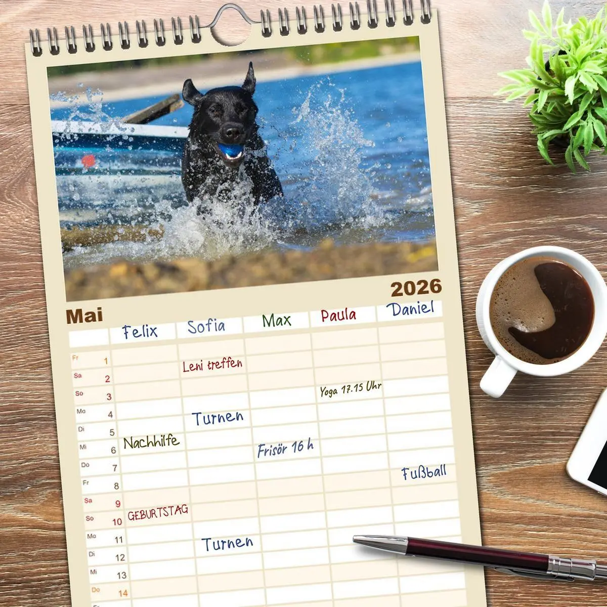 Bild: 9783516522518 | Familienplaner 2026 - Labrador Retriever - Freunde für´s Leben mit...