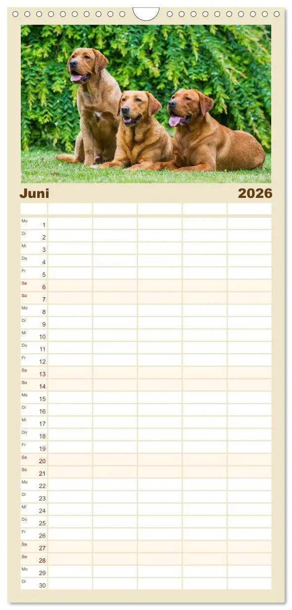 Bild: 9783516522518 | Familienplaner 2026 - Labrador Retriever - Freunde für´s Leben mit...