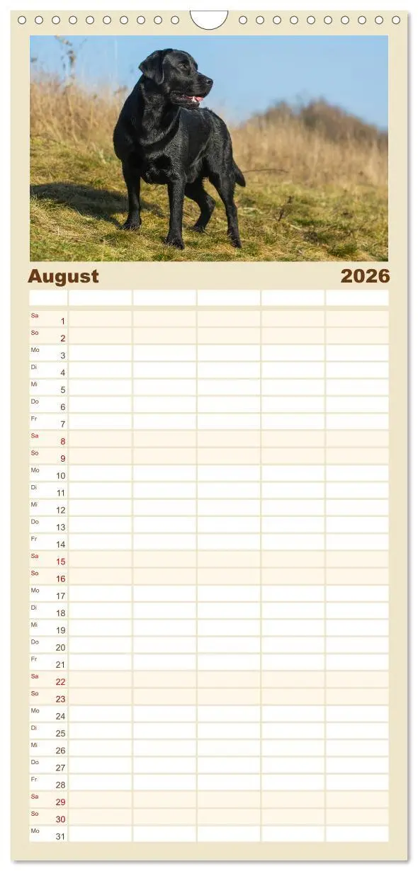 Bild: 9783516522518 | Familienplaner 2026 - Labrador Retriever - Freunde für´s Leben mit...