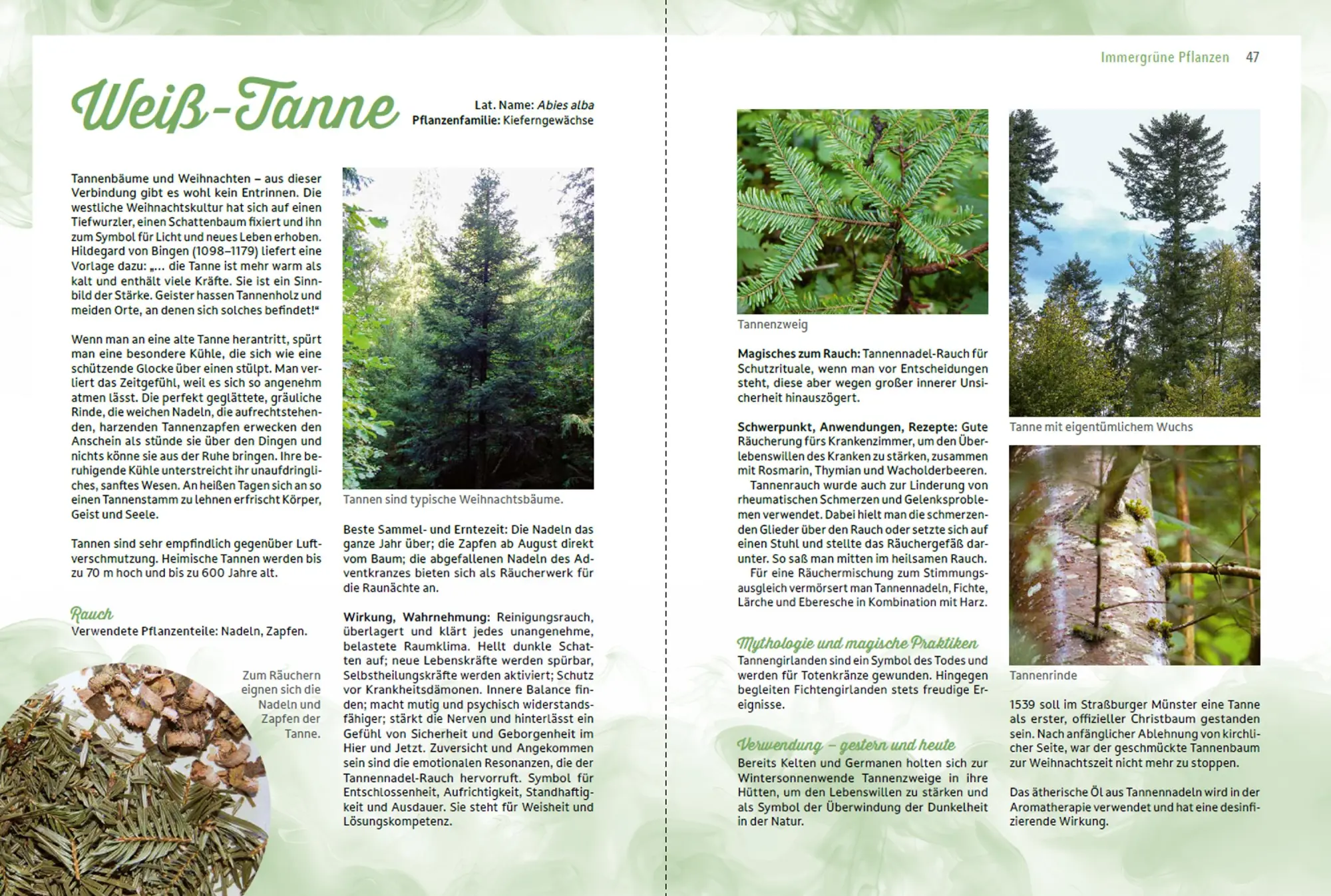 Bild: 9783702022518 | Räuchern im Einklang mit der Natur | Romana Seunig | Buch | 240 S.