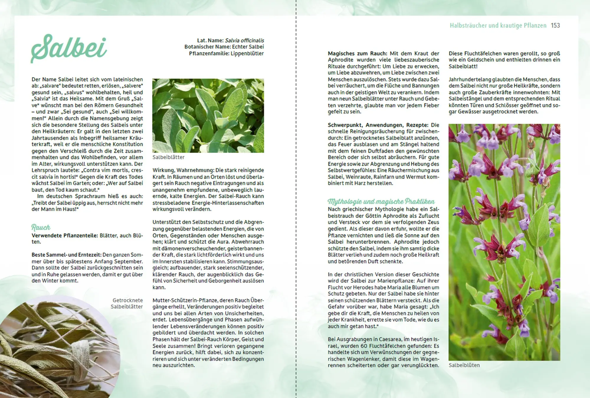 Bild: 9783702022518 | Räuchern im Einklang mit der Natur | Romana Seunig | Buch | 240 S.