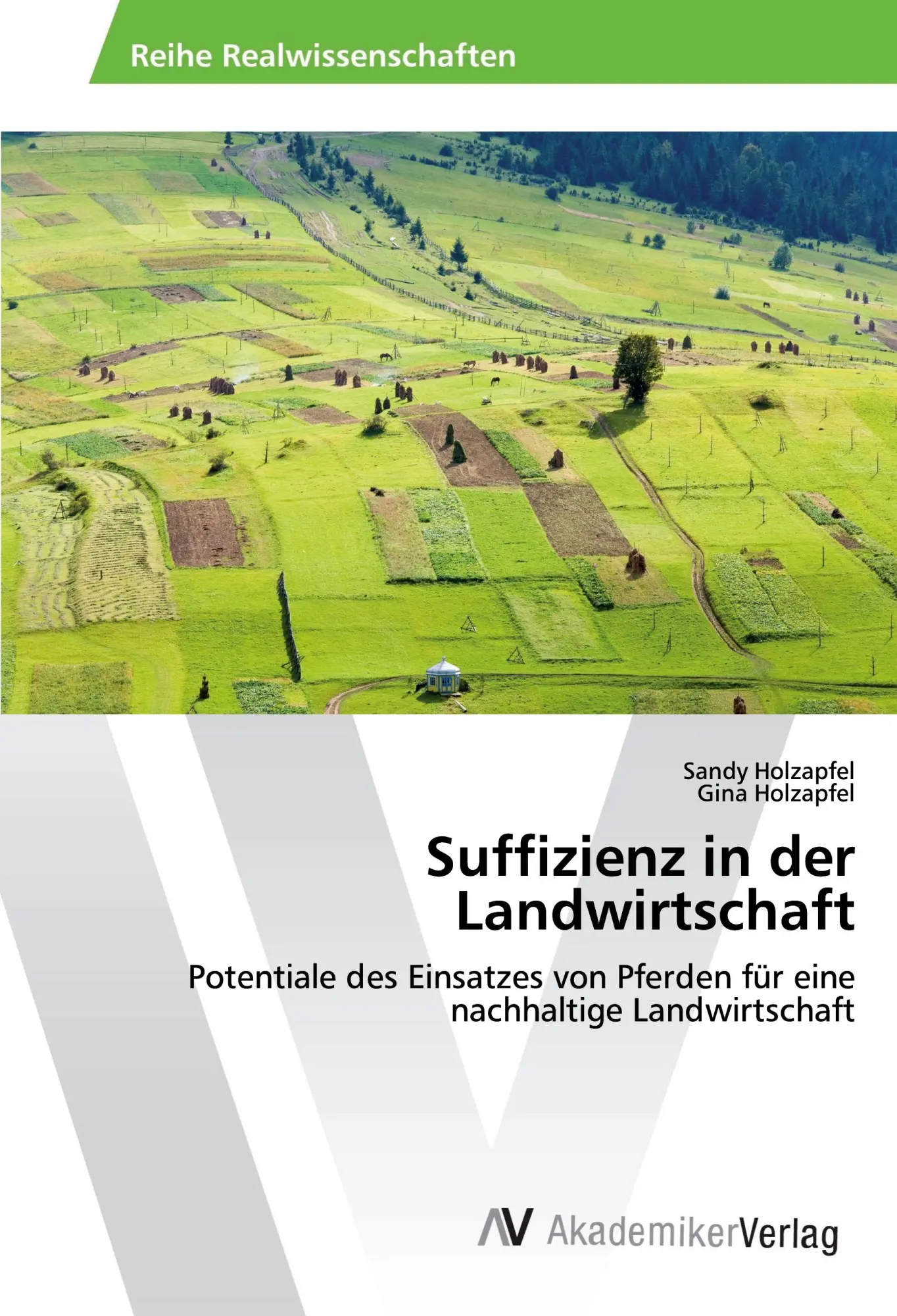 Cover: 9786202222518 | Suffizienz in der Landwirtschaft | Sandy Holzapfel (u. a.) | Buch