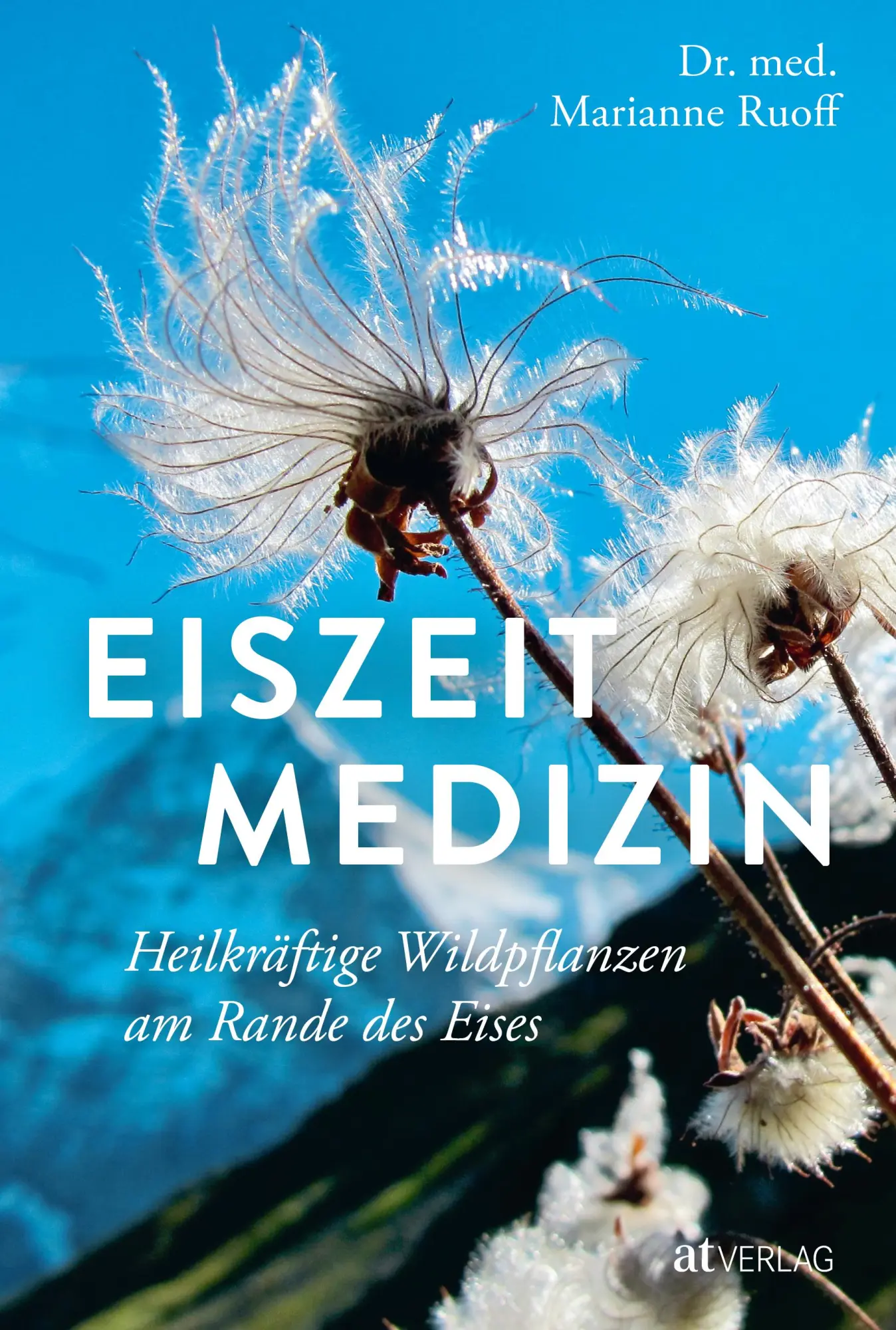 Cover: 9783039022618 | Eiszeitmedizin | Heilkräftige Wildpflanzen am Rande des Eises | Ruoff