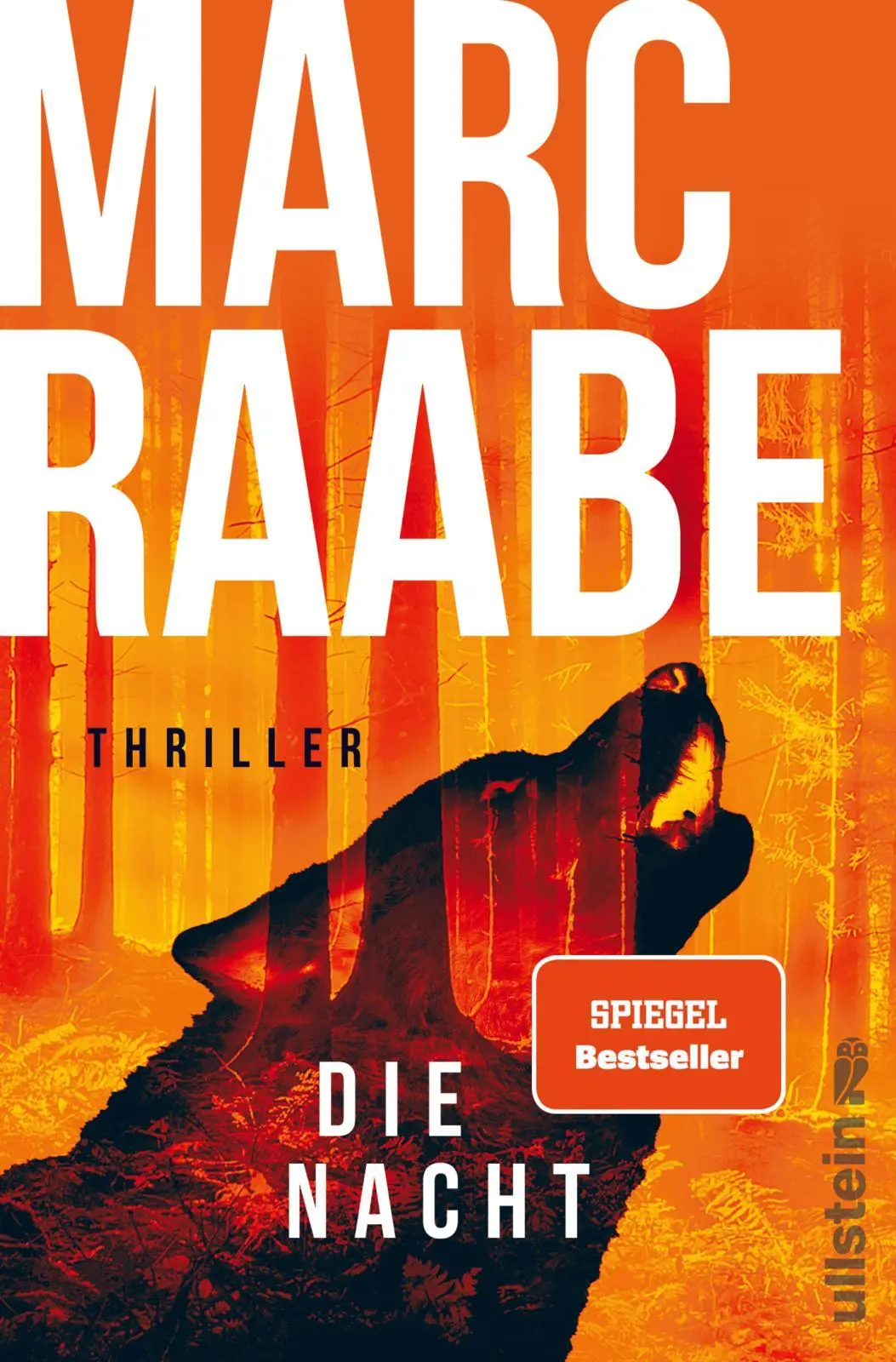Cover: 9783864932618 | Die Nacht | Marc Raabe | Taschenbuch | Art Mayer-Serie | 464 S. | 2025