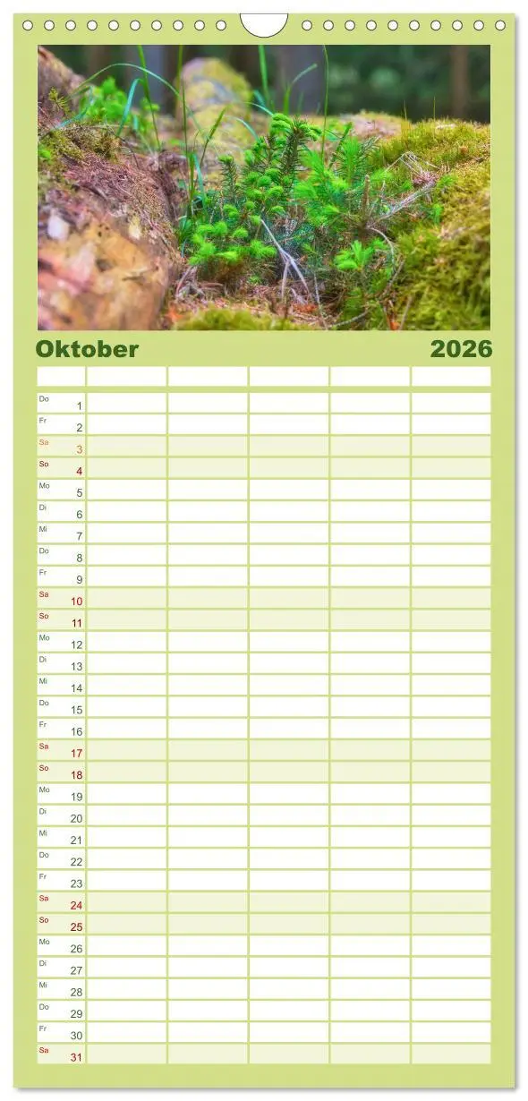 Bild: 9783516502718 | Familienplaner 2026 - Vielfalt am Waldboden mit 5 Spalten...