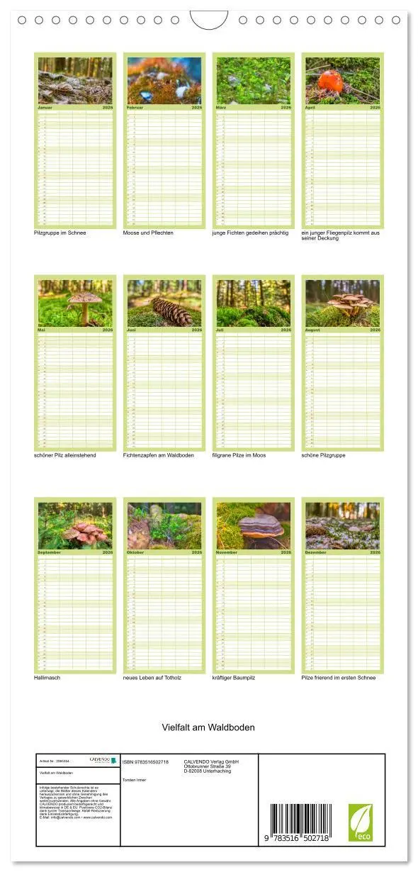 Bild: 9783516502718 | Familienplaner 2026 - Vielfalt am Waldboden mit 5 Spalten...