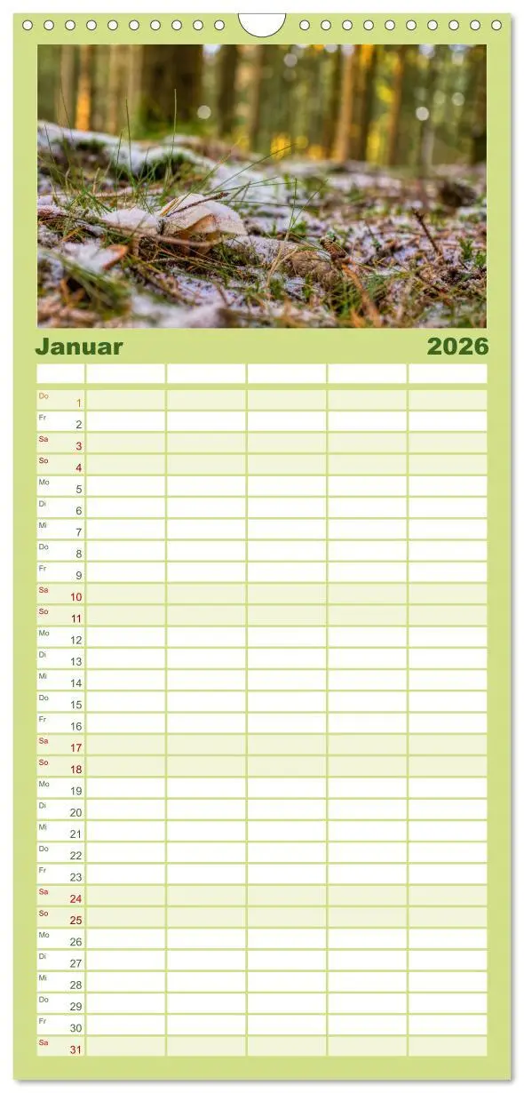Bild: 9783516502718 | Familienplaner 2026 - Vielfalt am Waldboden mit 5 Spalten...