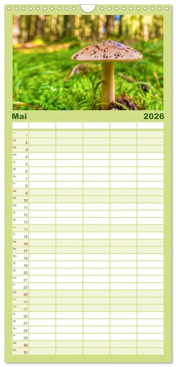 Bild: 9783516502718 | Familienplaner 2026 - Vielfalt am Waldboden mit 5 Spalten...