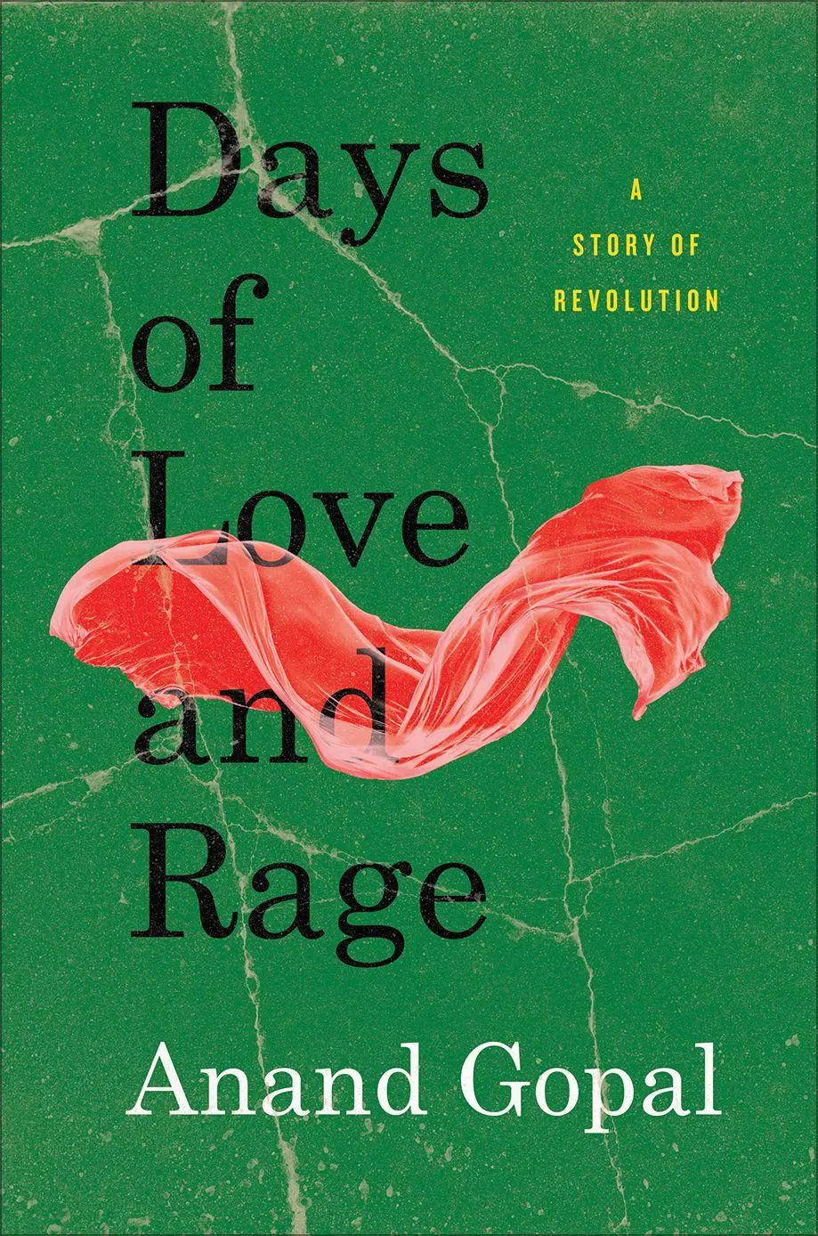 Cover: 9780745342818 | Days of Love and Rage | A Story of Revolution | Anand Gopal | Buch