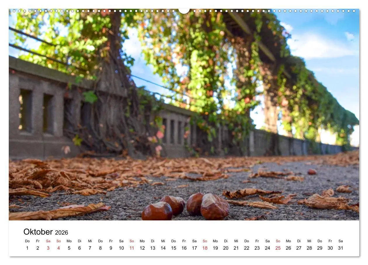 Bild: 9783457712818 | Kassel - Impressionen (hochwertiger Premium Wandkalender 2026 DIN...