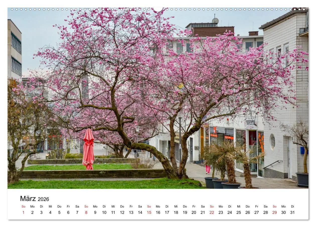 Bild: 9783457712818 | Kassel - Impressionen (hochwertiger Premium Wandkalender 2026 DIN...