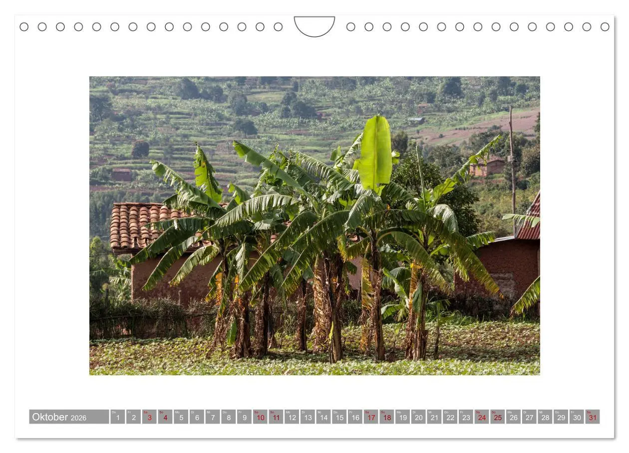 Bild: 9783457882818 | Ruanda (Wandkalender 2026 DIN A4 quer), CALVENDO Monatskalender | 2026