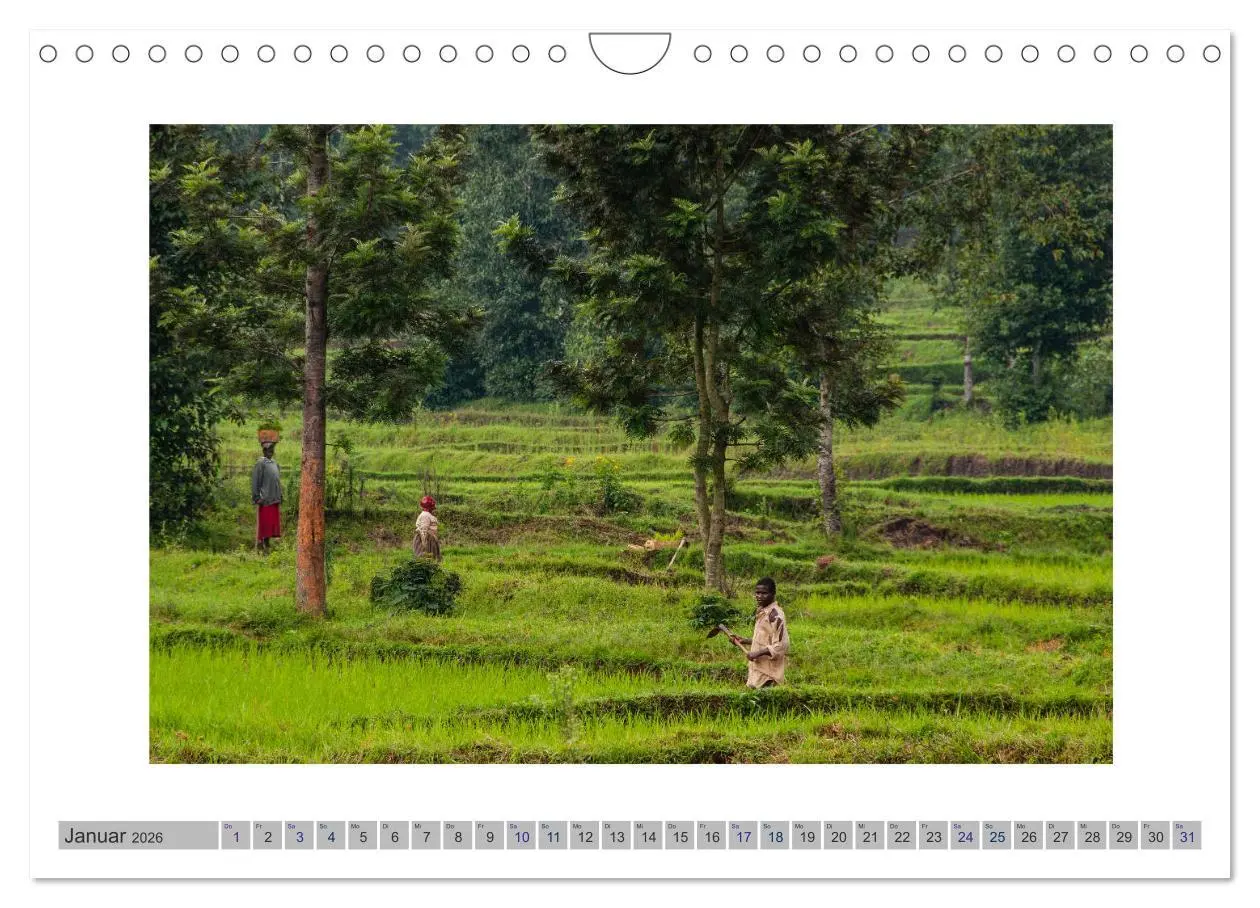 Bild: 9783457882818 | Ruanda (Wandkalender 2026 DIN A4 quer), CALVENDO Monatskalender | 2026