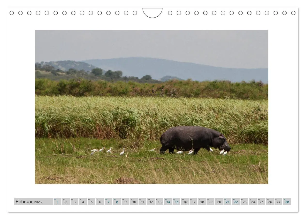 Bild: 9783457882818 | Ruanda (Wandkalender 2026 DIN A4 quer), CALVENDO Monatskalender | 2026