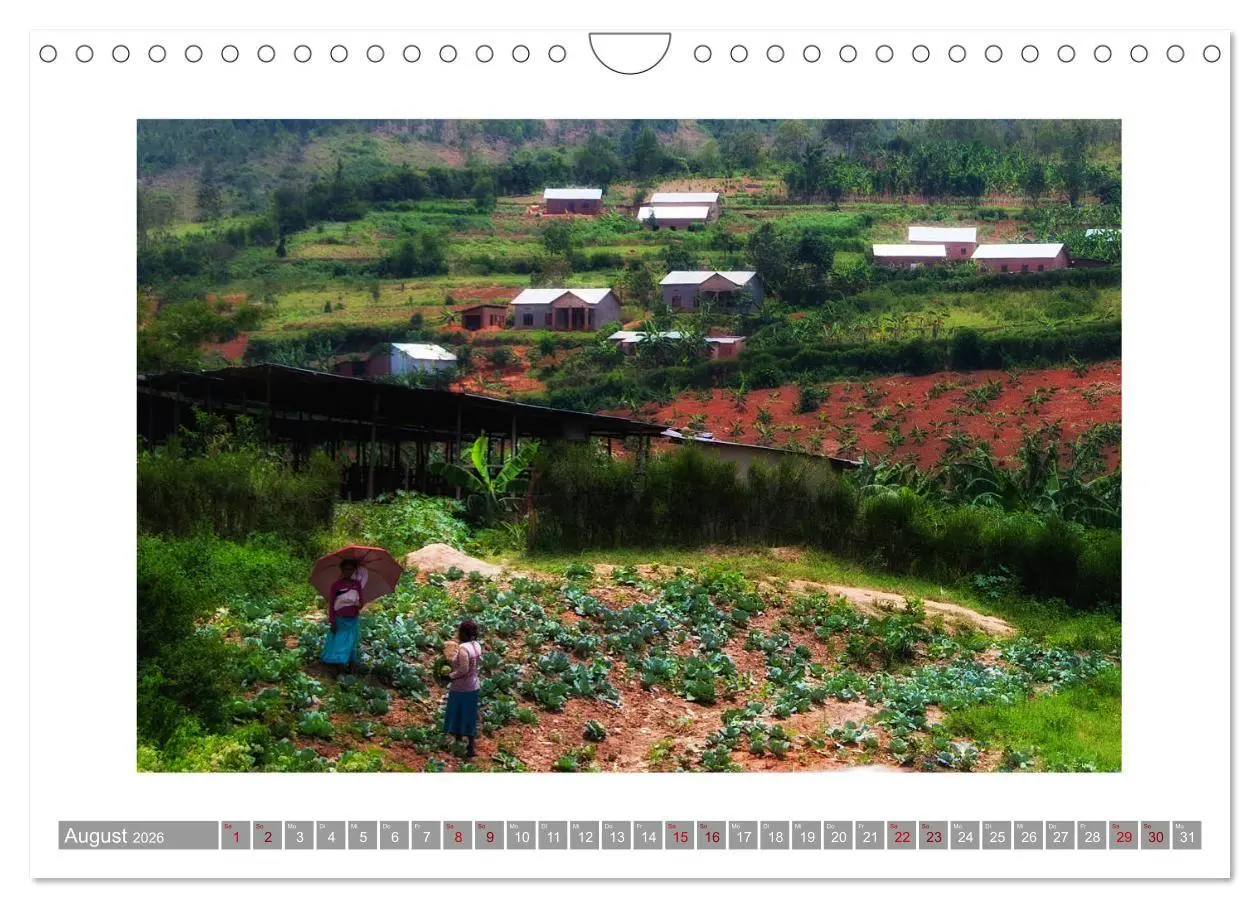 Bild: 9783457882818 | Ruanda (Wandkalender 2026 DIN A4 quer), CALVENDO Monatskalender | 2026