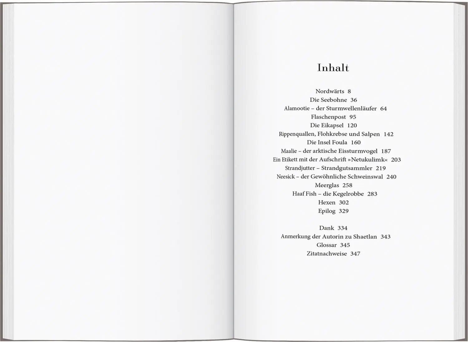 Bild: 9783616032818 | Die Strandsammlerin | Sally Huband | Taschenbuch | 350 S. | Deutsch