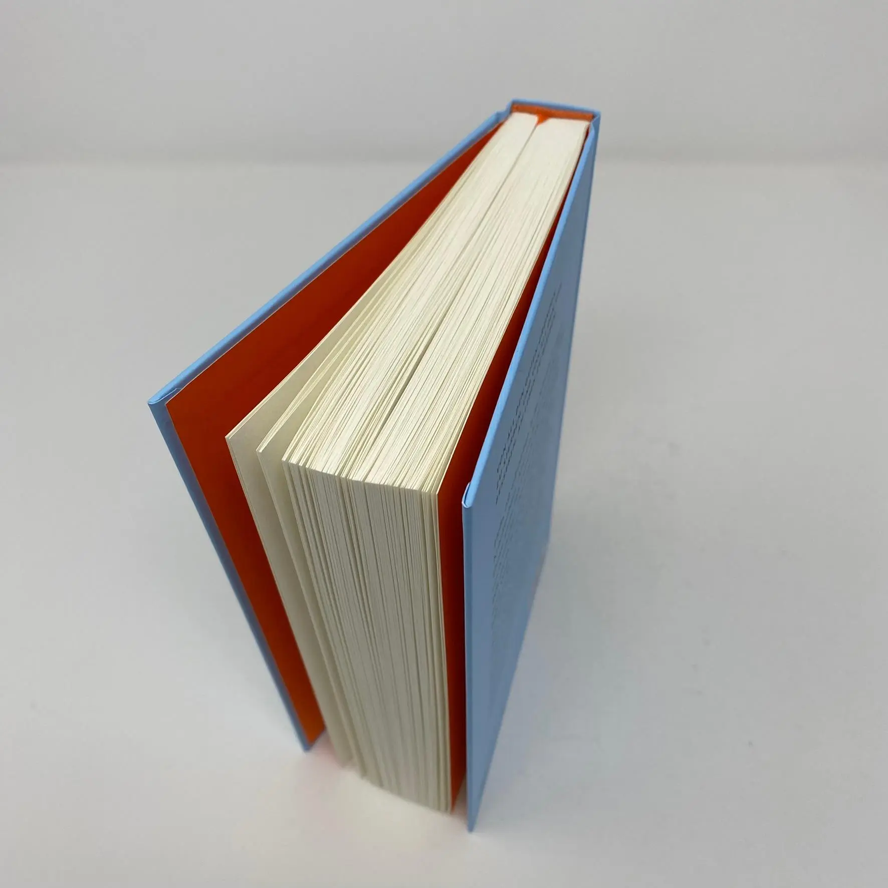 Bild: 9783423282918 | Ende in Sicht | Roman | Ronja von Rönne | Buch | 252 S. | Deutsch