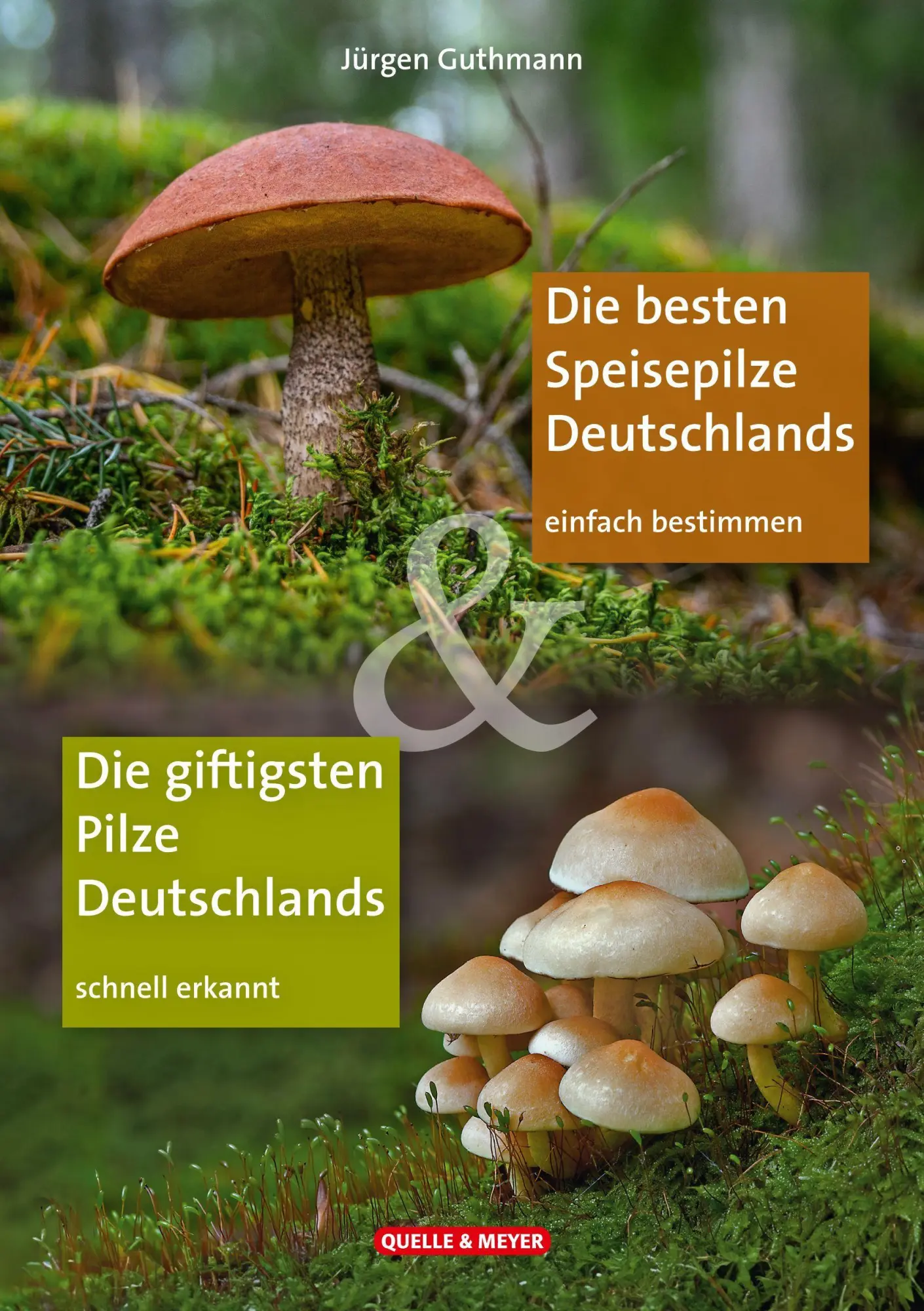 Cover: 9783494022918 | Die besten Speisepilze &amp; Die giftigsten Pilze Deutschlands | Guthmann