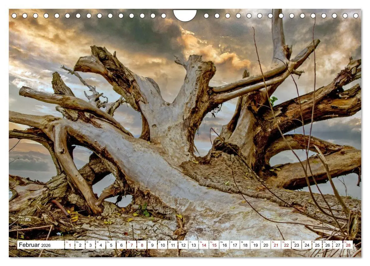 Bild: 9783516652918 | Beckerwitz - Impressionen aus der Wohlenberger Wiek (Wismarer...