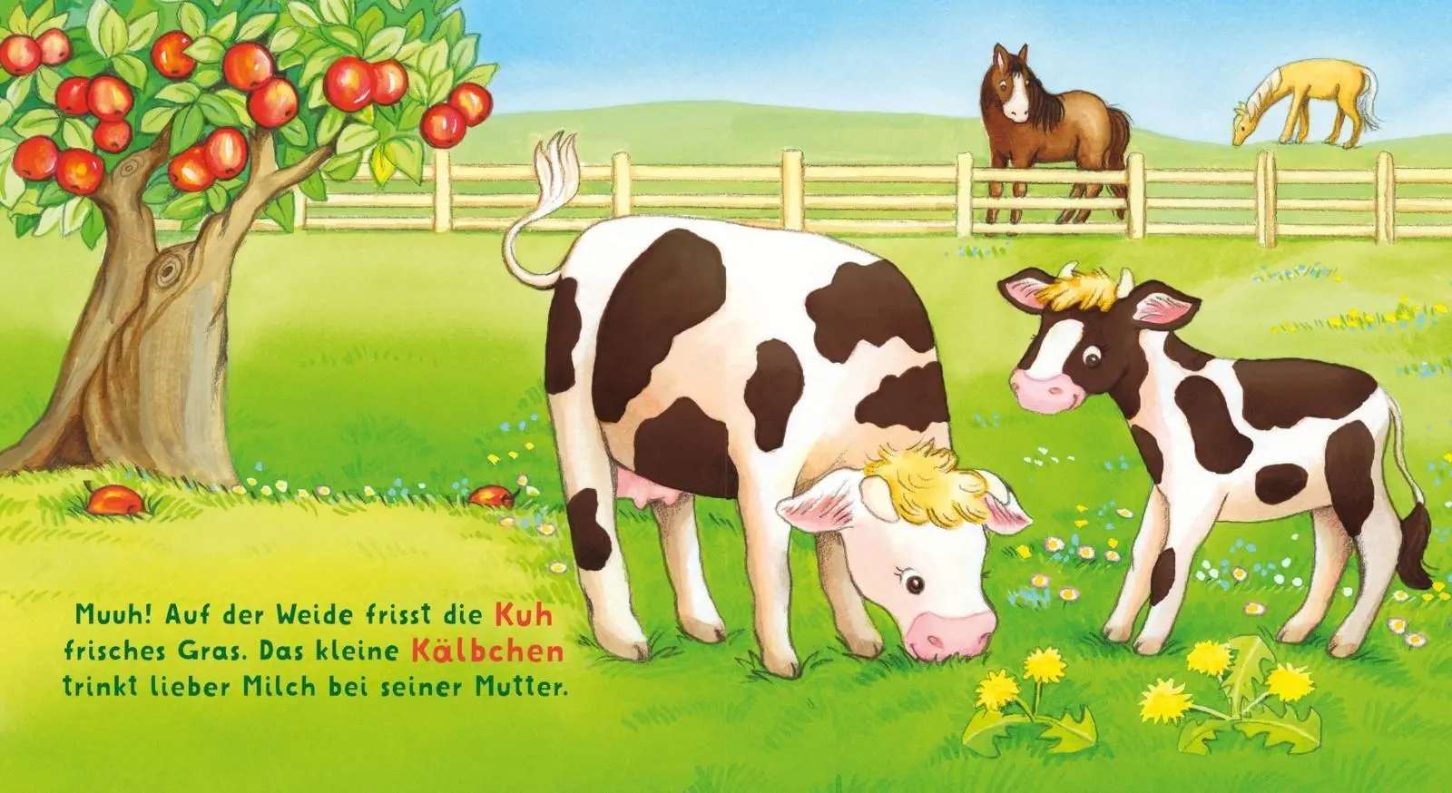 Bild: 9783551062918 | Baby Pixi (unkaputtbar) 167: Baby Pixi Stoff: Wir besuchen den...
