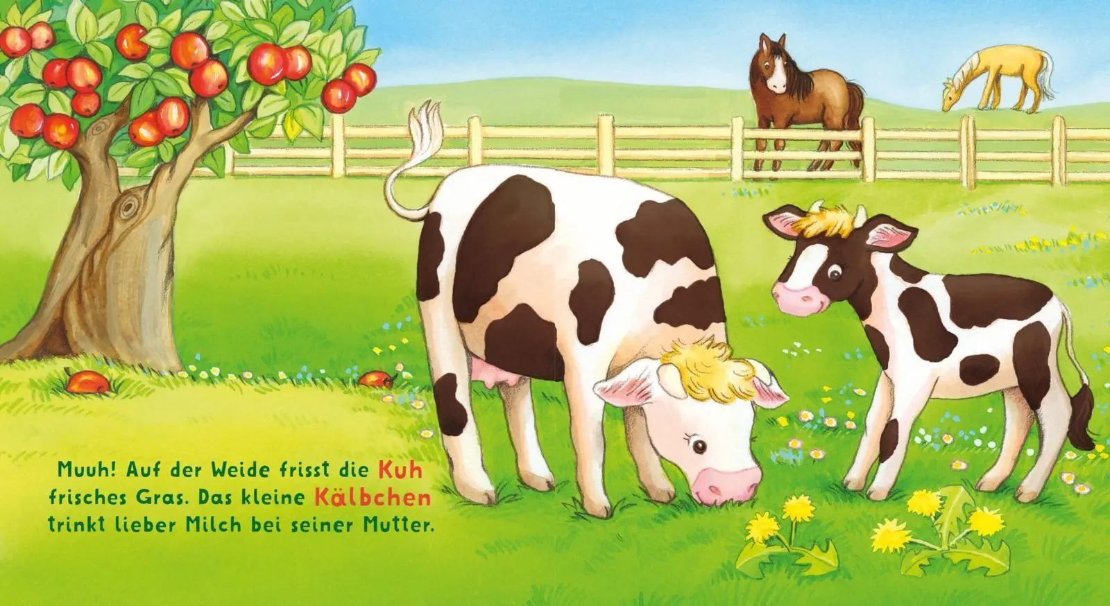 Bild: 9783551062918 | Baby Pixi (unkaputtbar) 167: Baby Pixi Stoff: Wir besuchen den...