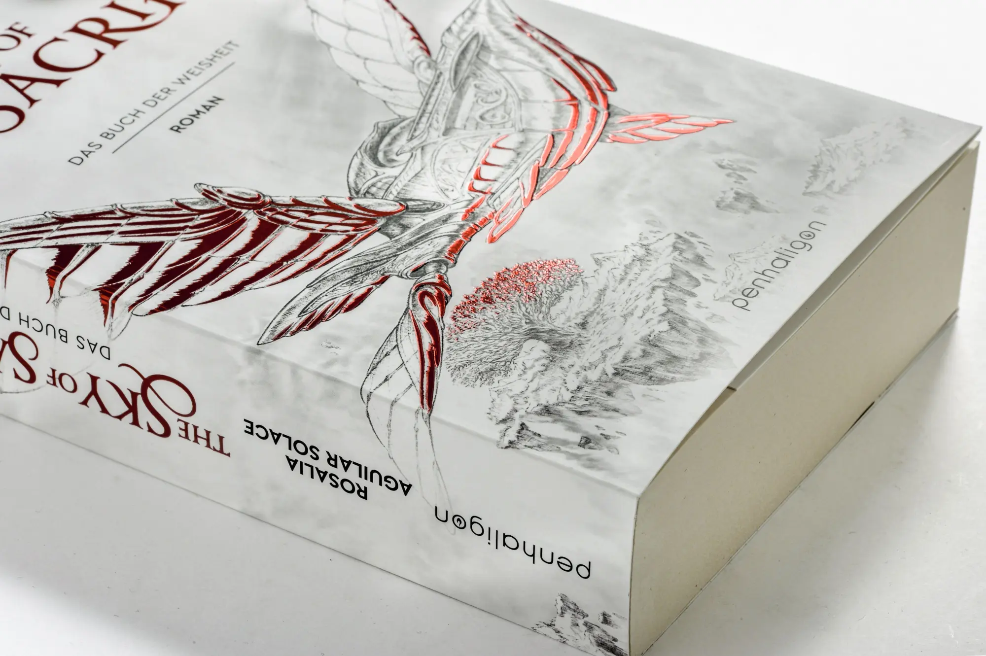 Bild: 9783764532918 | The Sky of Sacrifice | Rosalia Aguilar Solace | Taschenbuch | 640 S.