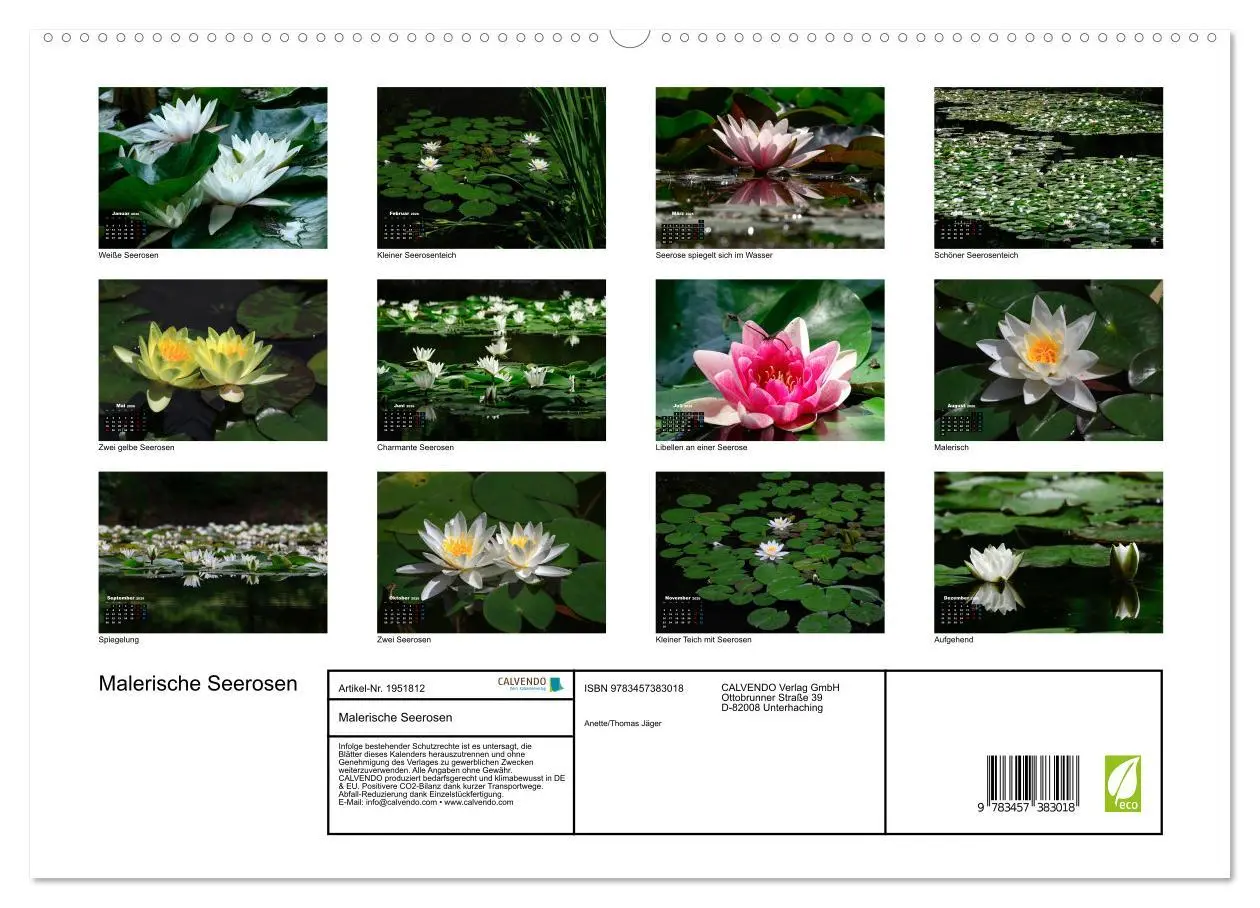 Bild: 9783457383018 | Malerische Seerosen (hochwertiger Premium Wandkalender 2026 DIN A2...