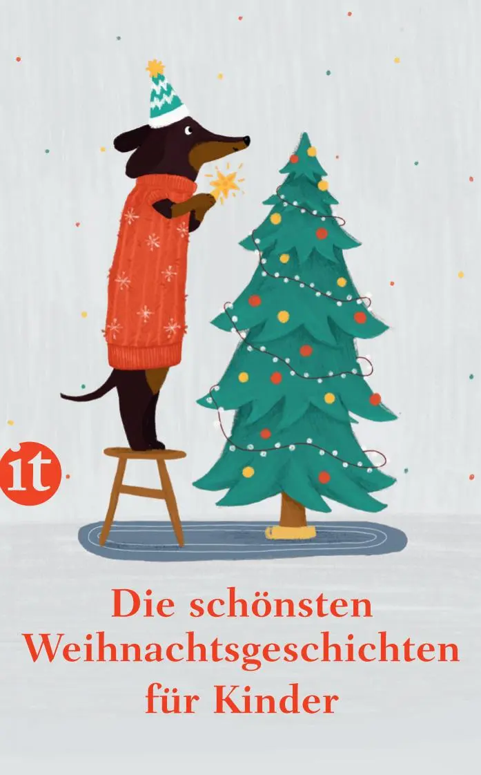 Cover: 9783458683018 | Die schönsten Weihnachtsgeschichten für Kinder | Christiane Schwabbaur