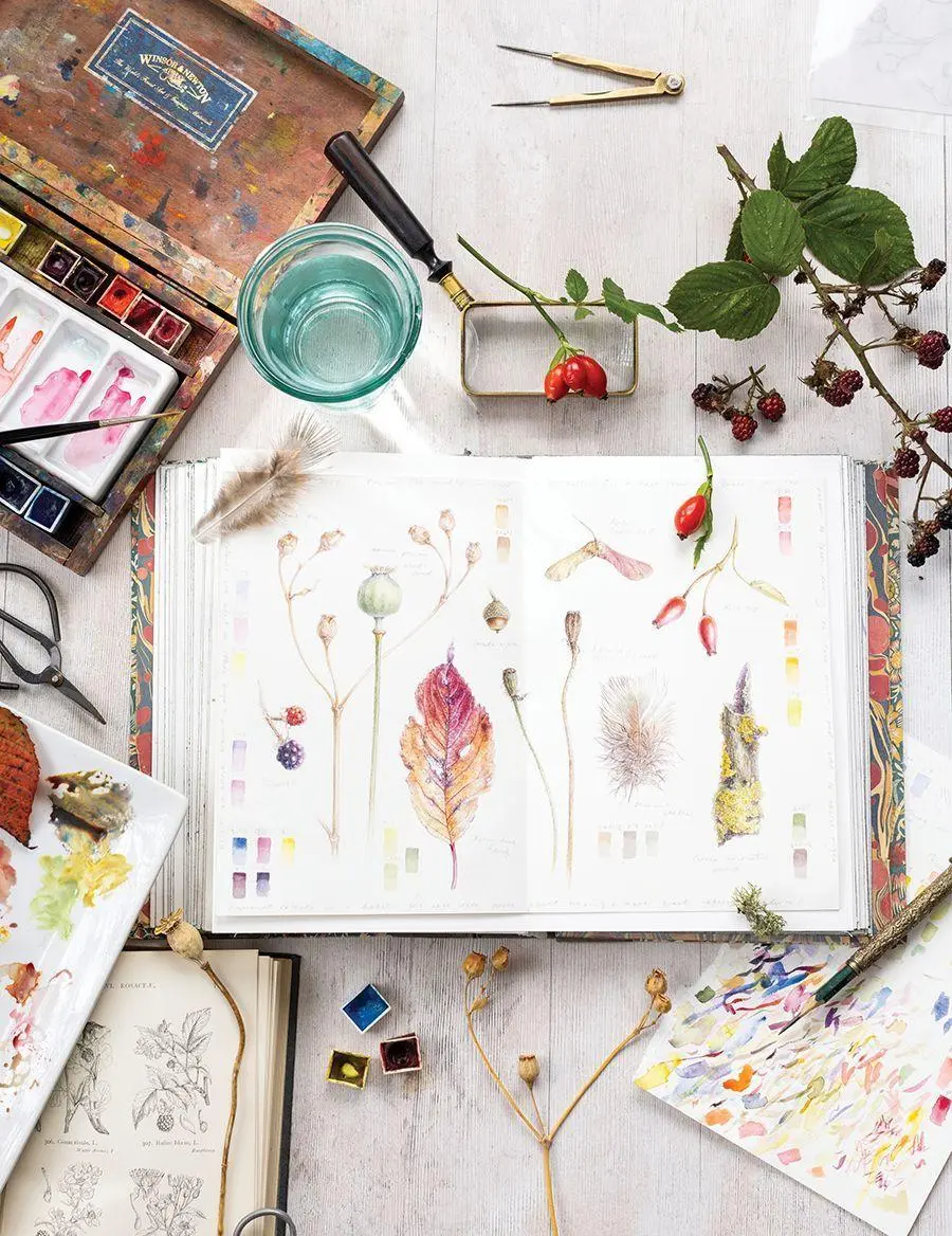 Bild: 9783735883018 | Sketching Nature | Dianne Sutherland | Buch | 128 S. | Deutsch | 2026