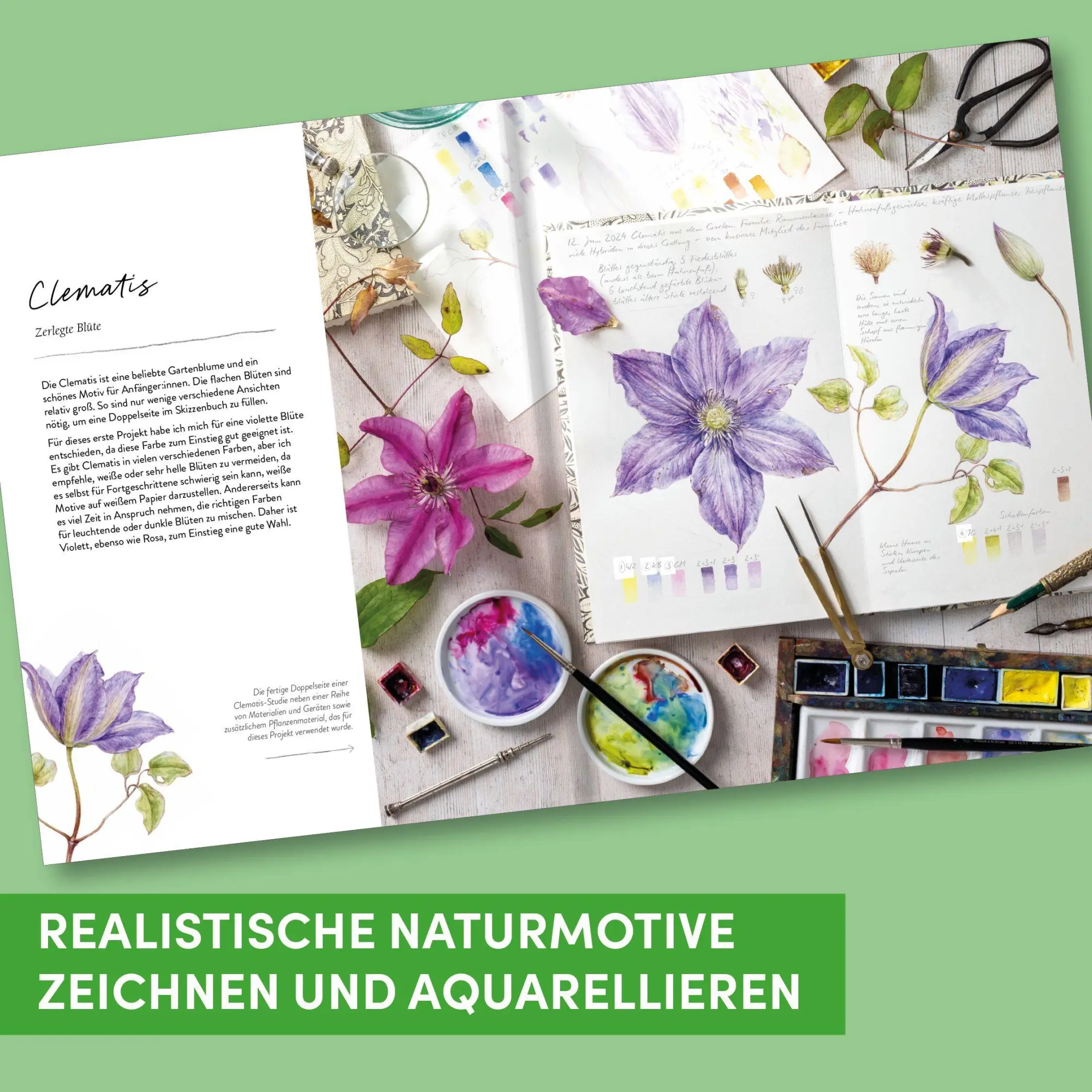 Bild: 9783735883018 | Sketching Nature | Dianne Sutherland | Buch | 128 S. | Deutsch | 2026