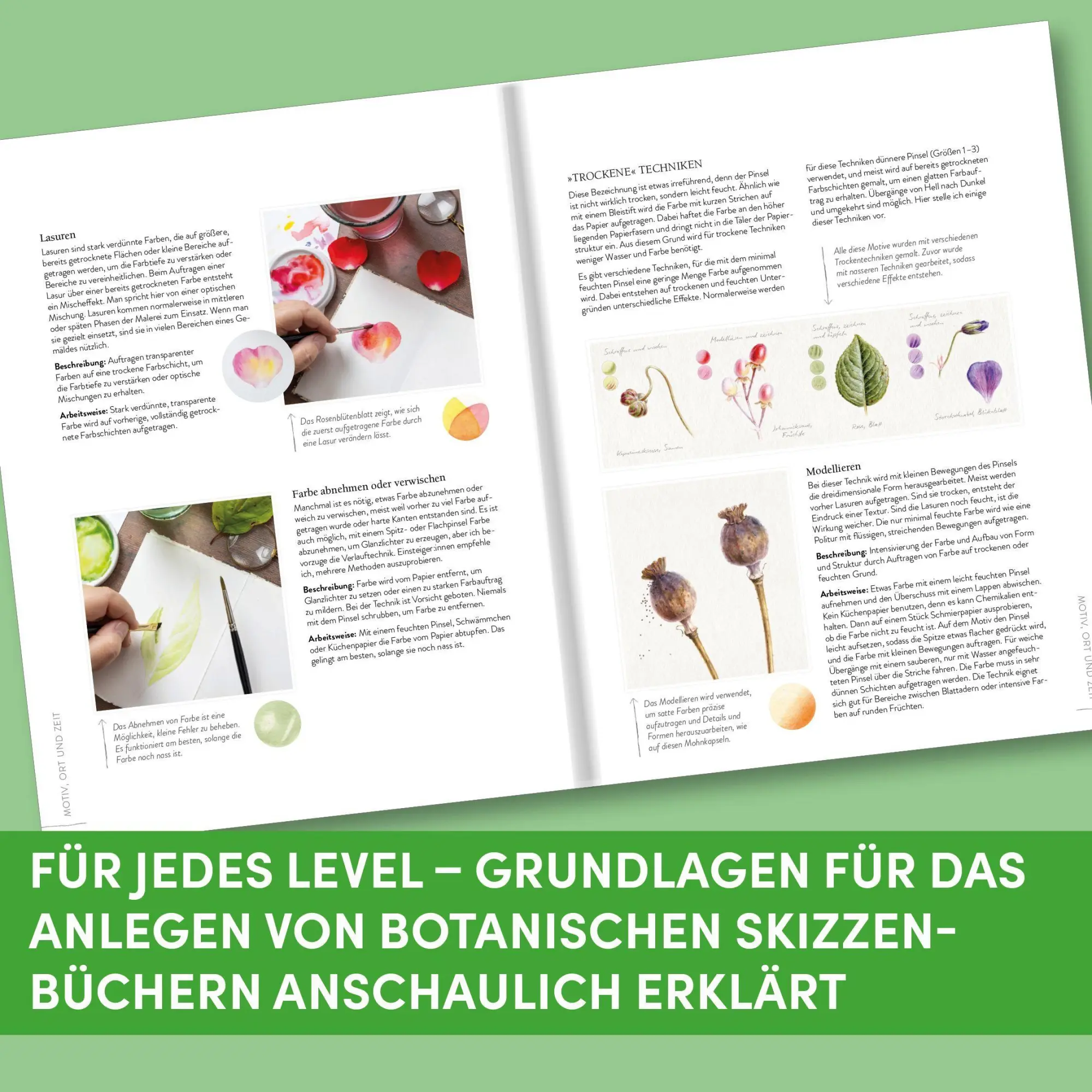 Bild: 9783735883018 | Sketching Nature | Dianne Sutherland | Buch | 128 S. | Deutsch | 2026