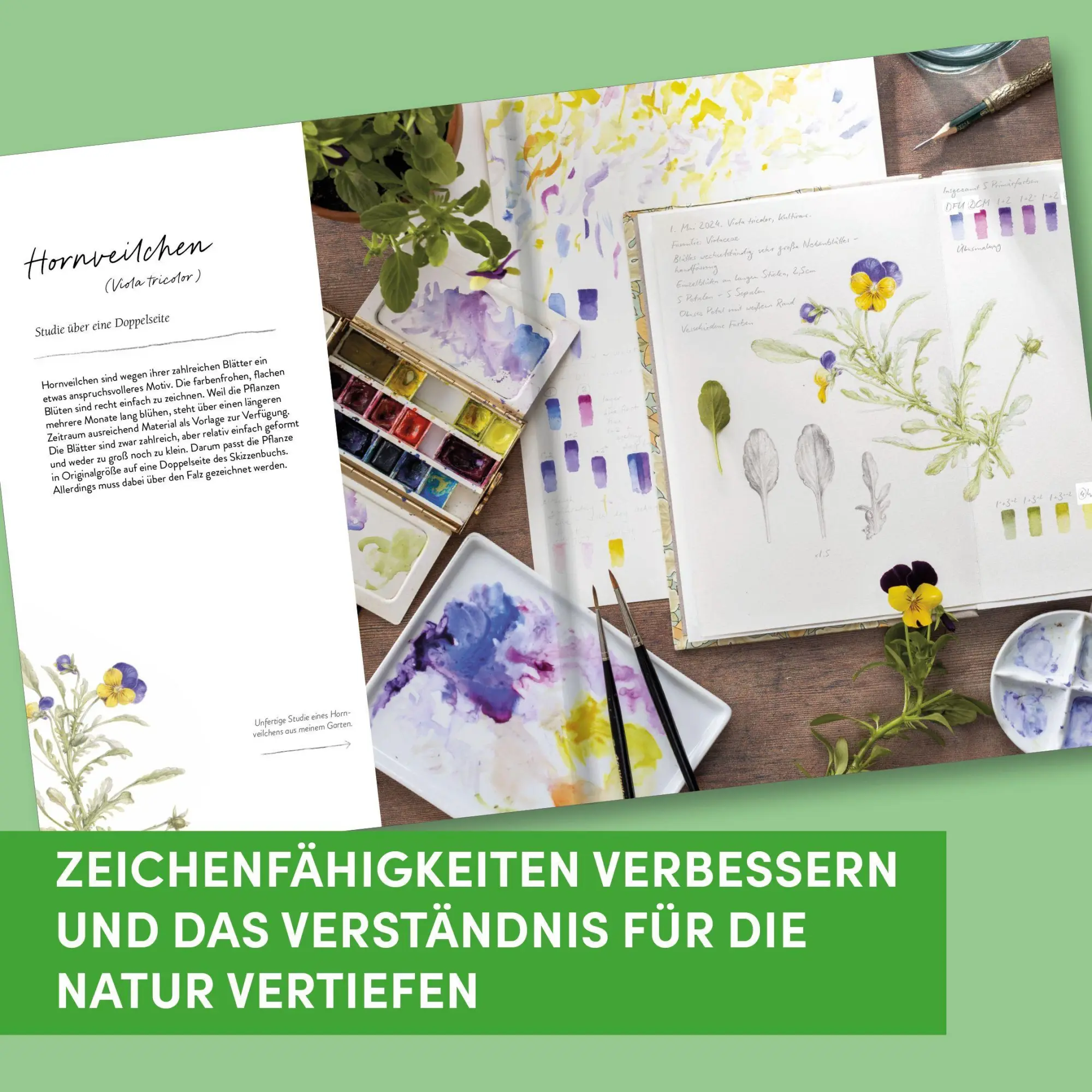 Bild: 9783735883018 | Sketching Nature | Dianne Sutherland | Buch | 128 S. | Deutsch | 2026