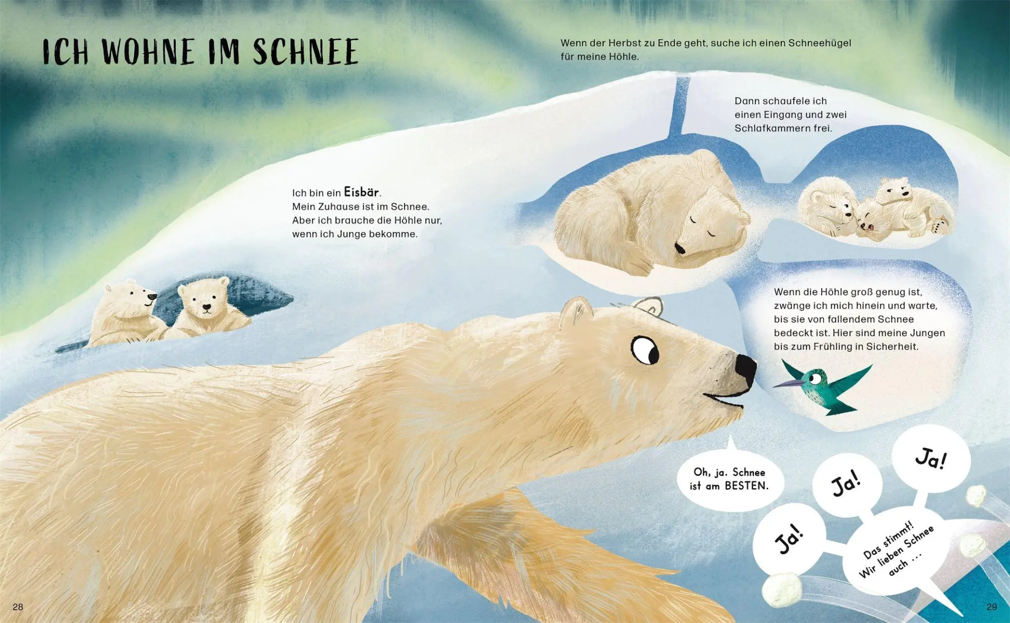 Bild: 9783831053018 | So wohne ich! Und du? | Saskia Gwinn | Buch | 48 S. | Deutsch | 2026