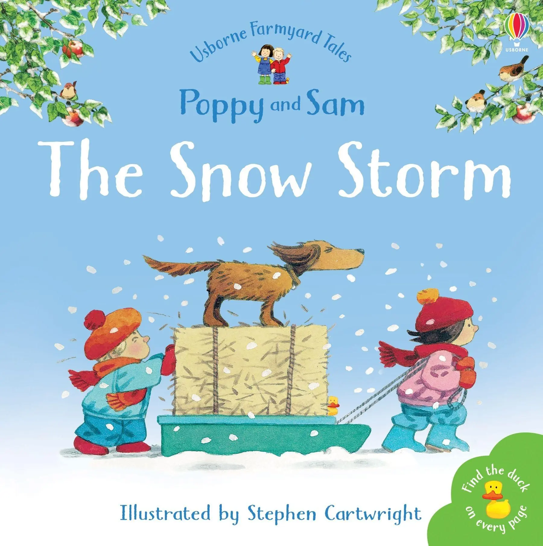 Cover: 9780746063118 | The Snow Storm | Heather Amery | Taschenbuch | Usborne Publishing
