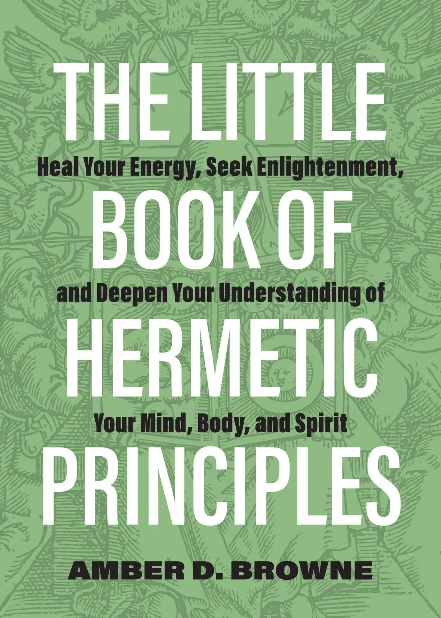Cover: 9781646043118 | The Little Book of Hermetic Principles | Amber D Browne | Taschenbuch