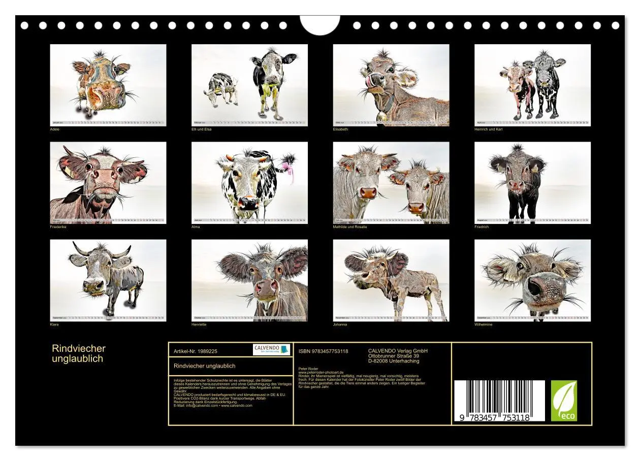 Bild: 9783457753118 | Rindviecher unglaublich (Wandkalender 2026 DIN A4 quer), CALVENDO...