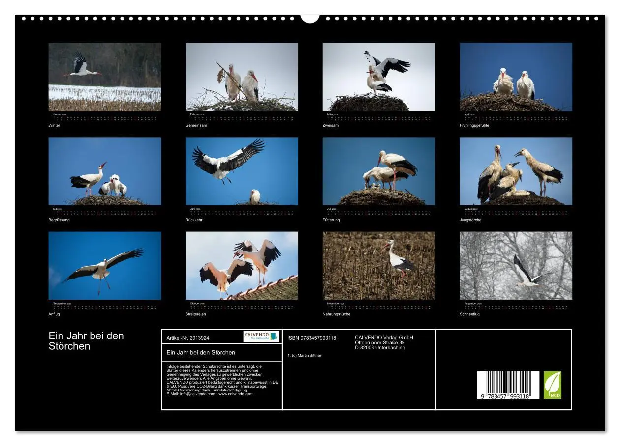 Bild: 9783457993118 | Ein Jahr bei den Störchen (hochwertiger Premium Wandkalender 2026...
