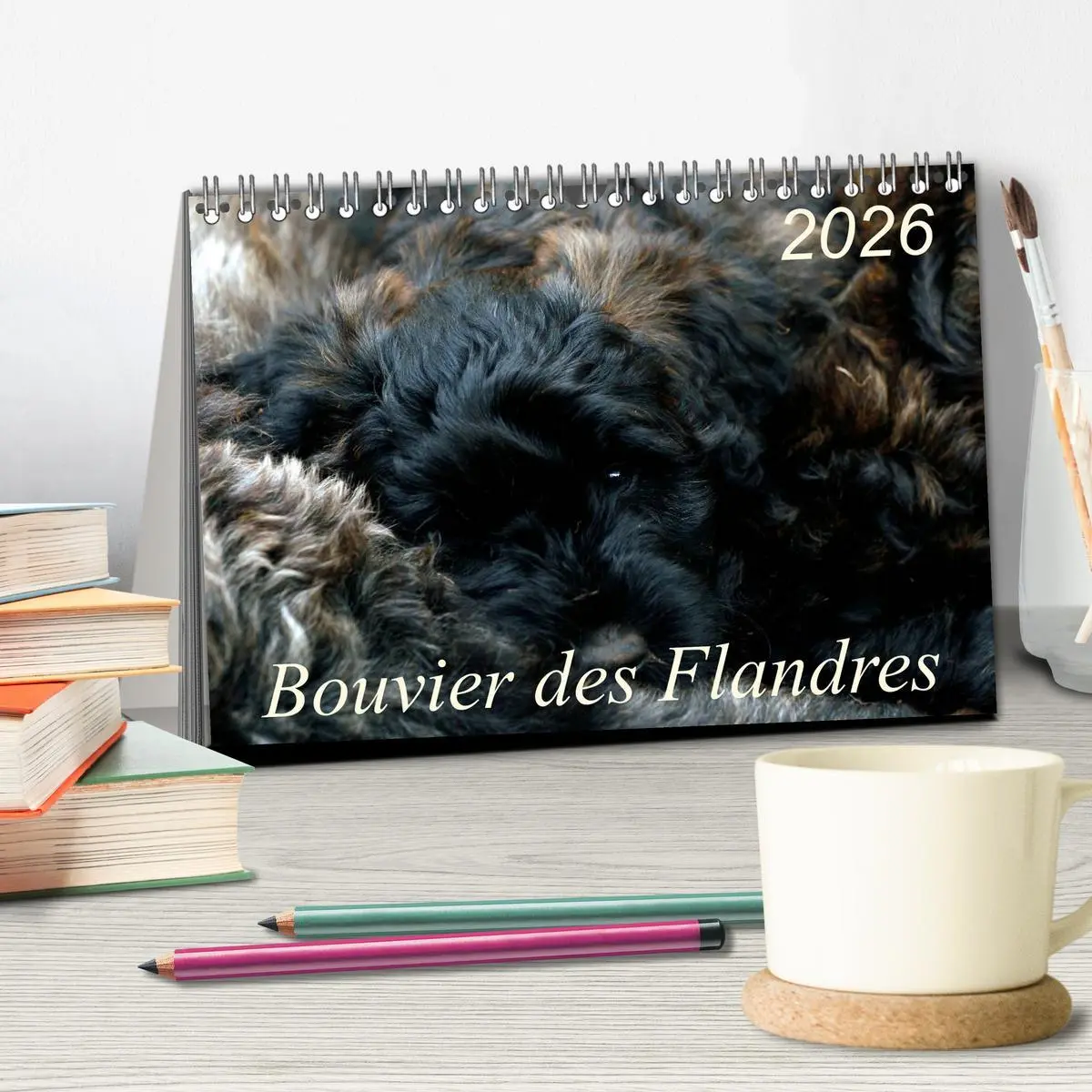Bild: 9783516223118 | Bouvier des Flandres (Tischkalender 2026 DIN A5 quer), CALVENDO...