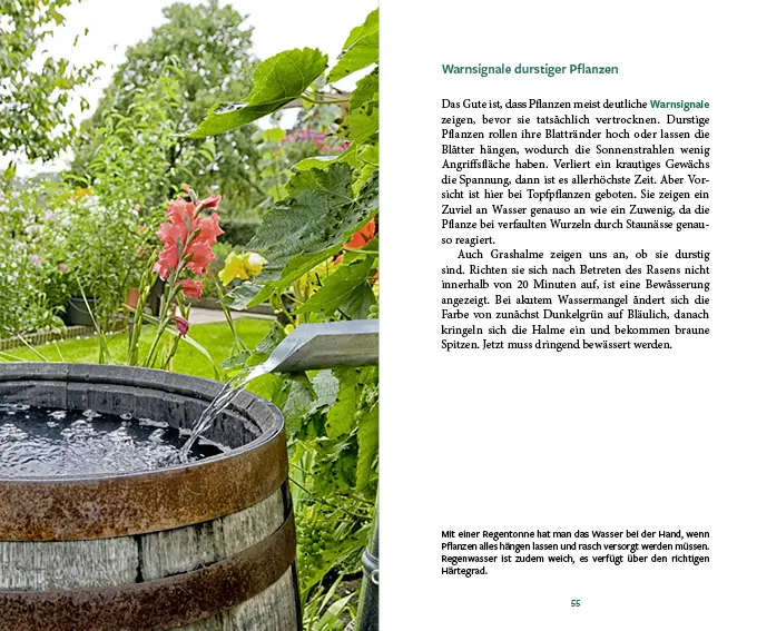 Bild: 9783710403118 | Gärtnern im Wandel | Wie der Garten klimafest wird | Veronika Schubert
