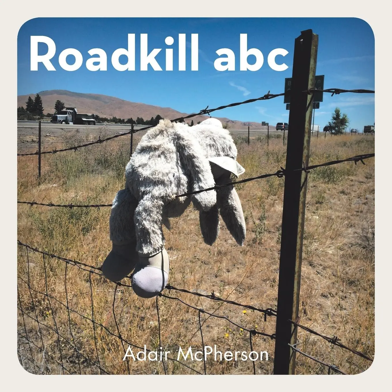 Cover: 9781984553218 | Roadkill Abc | Adair McPherson | Taschenbuch | Englisch | 2018