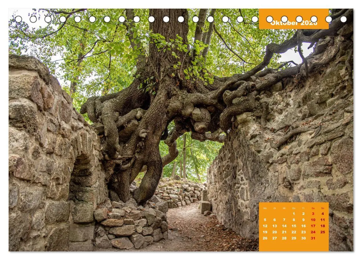 Bild: 9783457433218 | Traumhafter Harz (Tischkalender 2026 DIN A5 quer), CALVENDO...