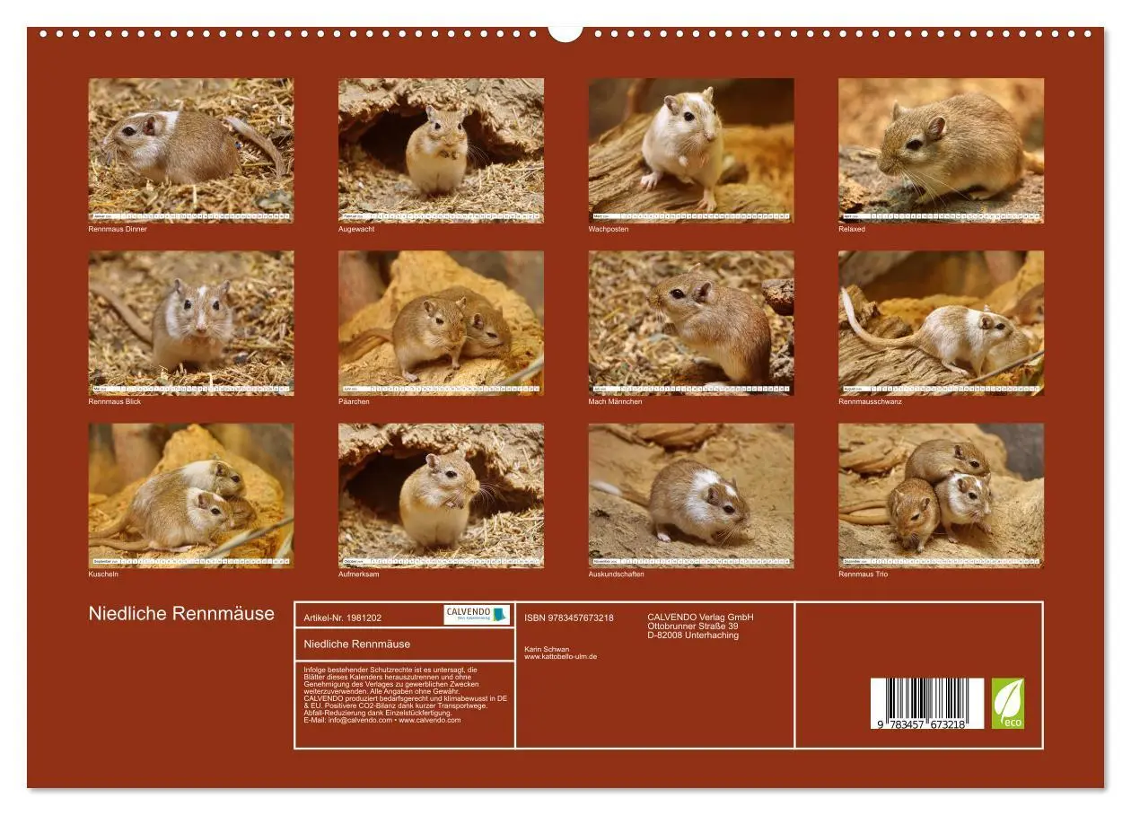 Bild: 9783457673218 | Niedliche Rennmäuse (hochwertiger Premium Wandkalender 2026 DIN A2...