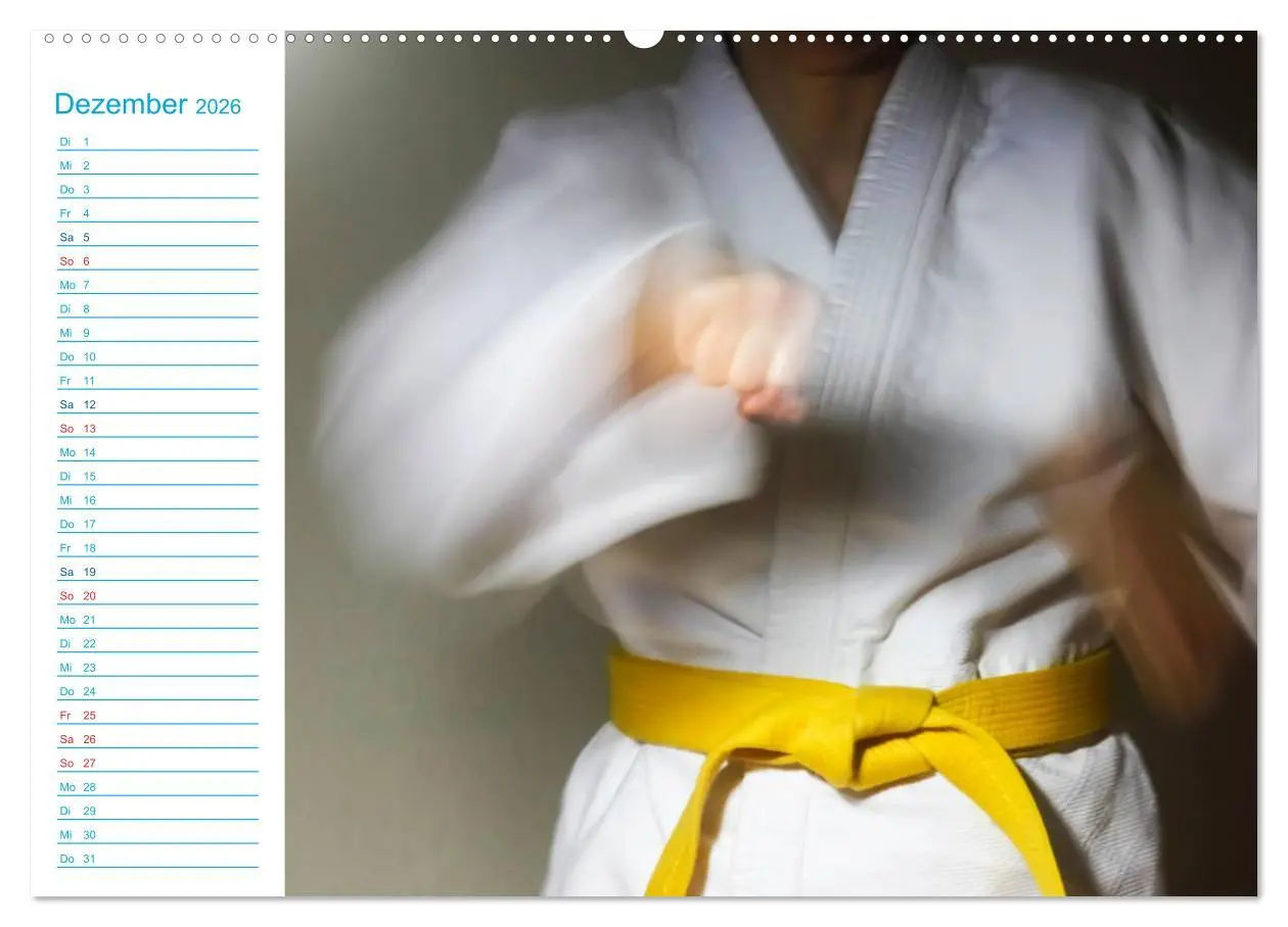 Bild: 9783457983218 | Kampfsport (hochwertiger Premium Wandkalender 2026 DIN A2 quer),...