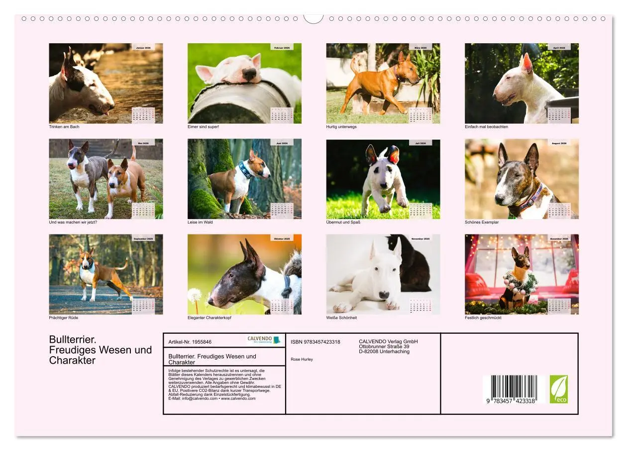Bild: 9783457423318 | Bullterrier. Freudiges Wesen und Charakter (hochwertiger Premium...