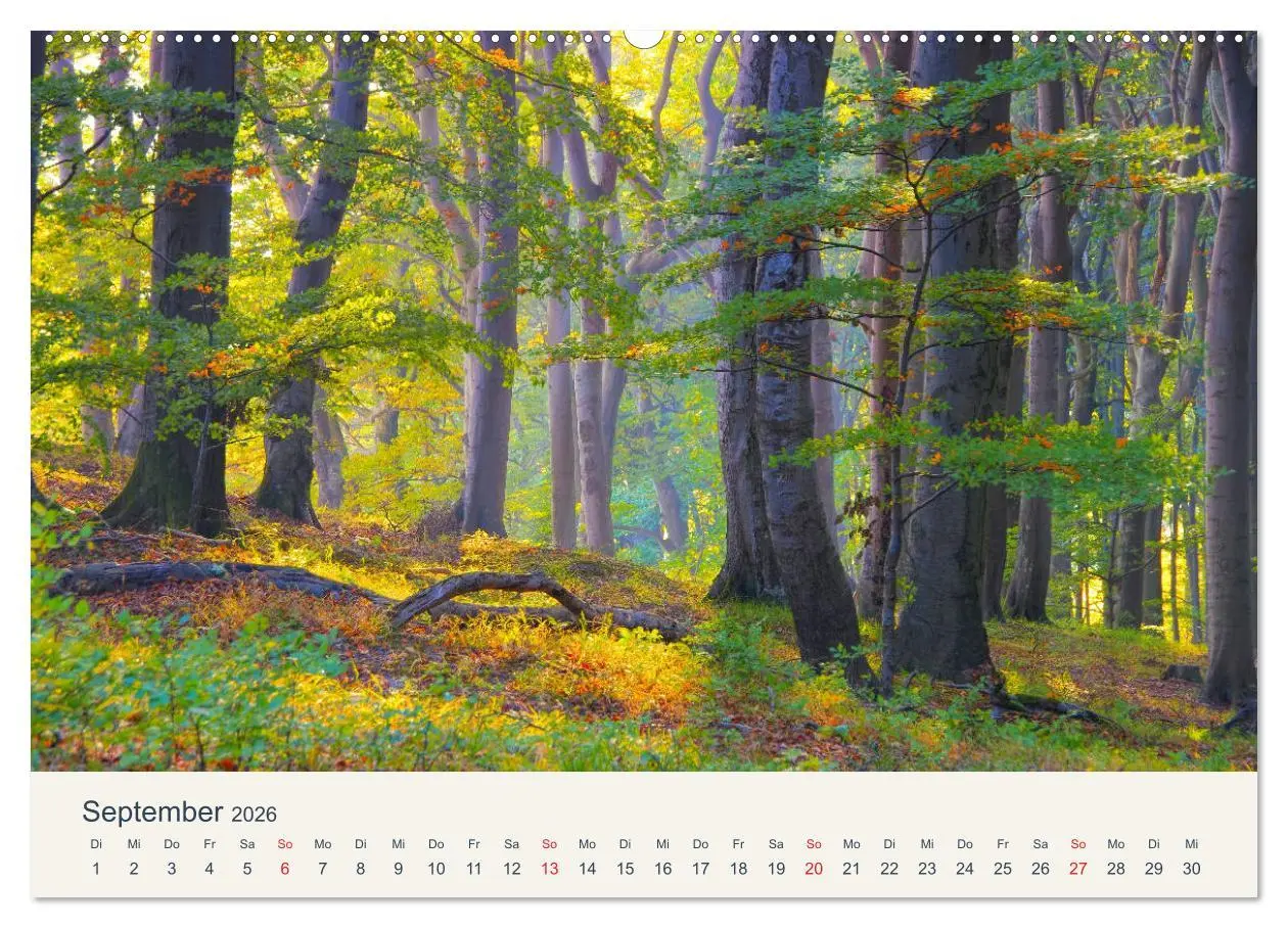 Bild: 9783457803318 | Sassnitz und die Kreideküste - Herbstimpressionen vom Hochuferweg...