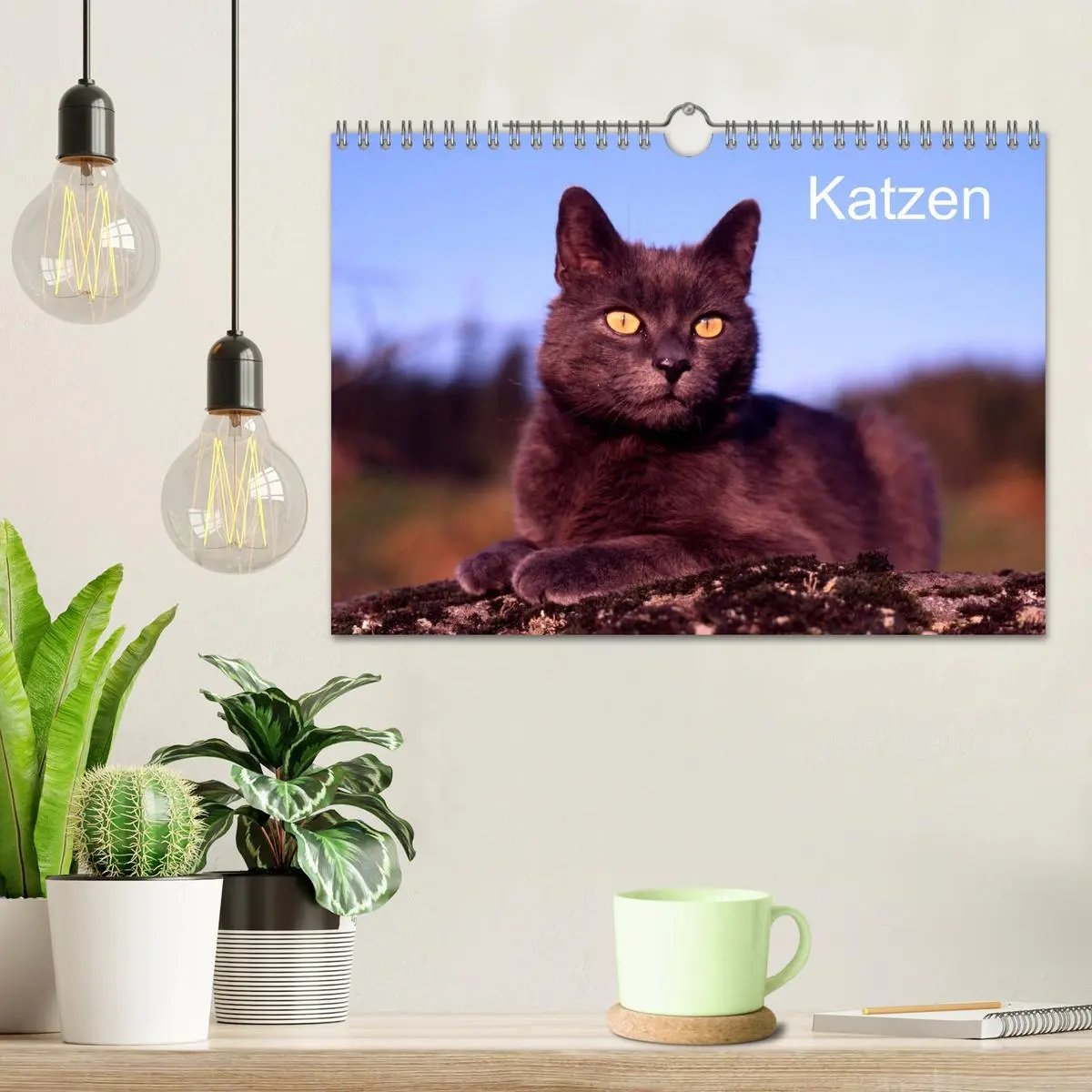 Bild: 9783516203318 | Katzen (Wandkalender 2026 DIN A4 quer), CALVENDO Monatskalender | 2026