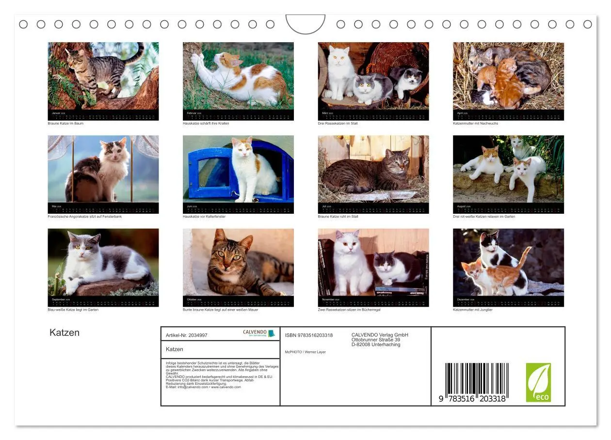 Bild: 9783516203318 | Katzen (Wandkalender 2026 DIN A4 quer), CALVENDO Monatskalender | 2026