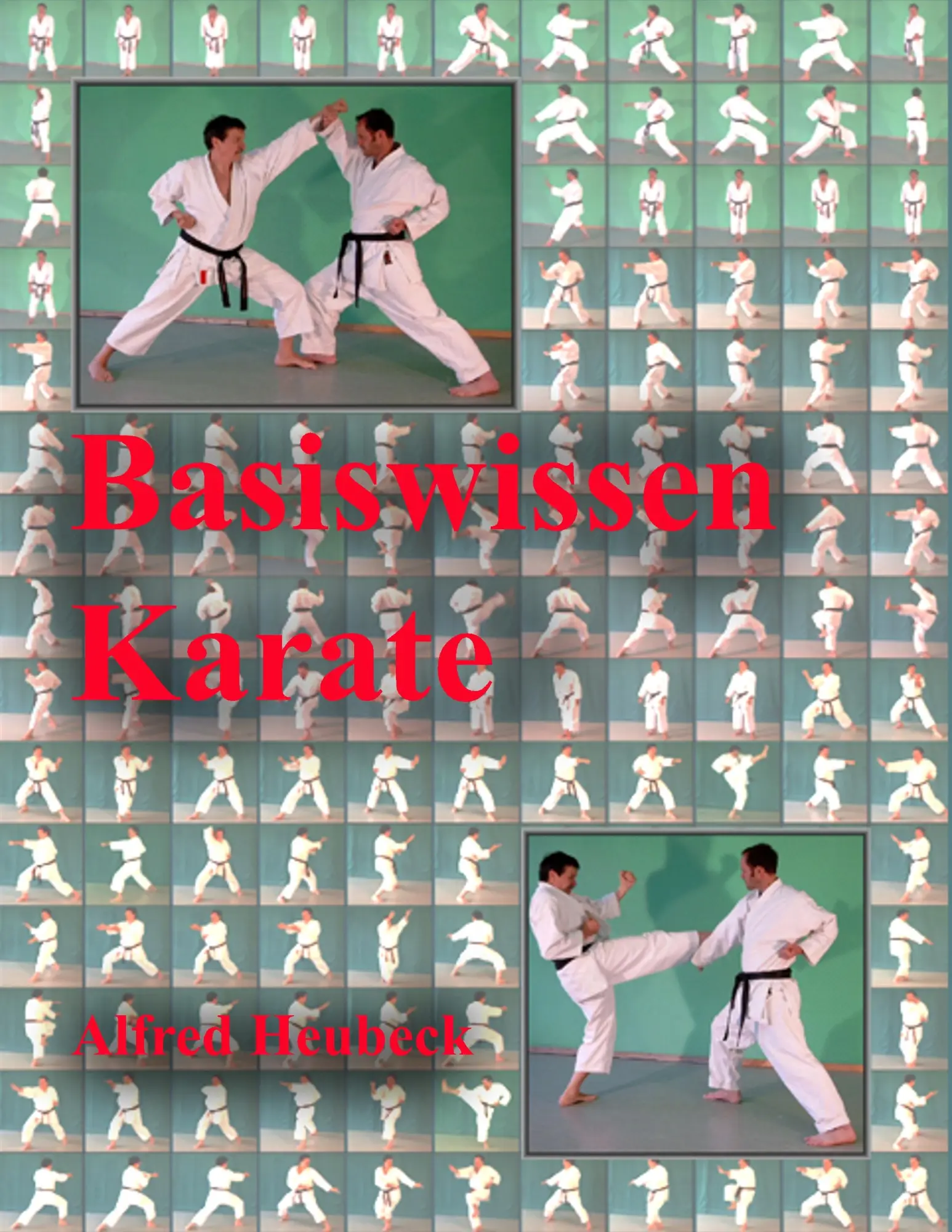 Cover: 9783752823318 | Basiswissen Karate | Erste Schritte und Informationen | Alfred Heubeck