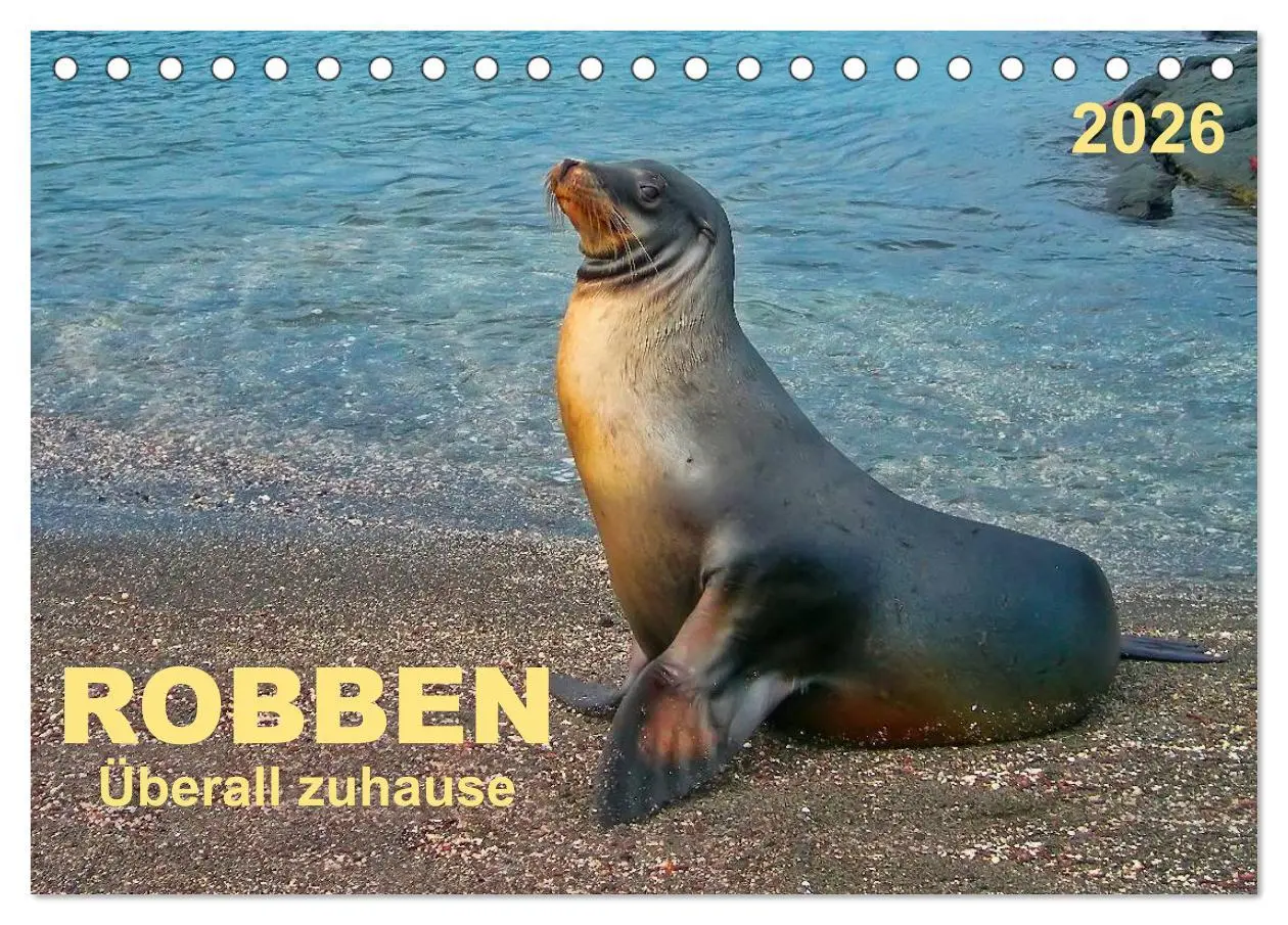 Cover: 9783516043518 | Robben - überall zuhause (Tischkalender 2026 DIN A5 quer), CALVENDO...